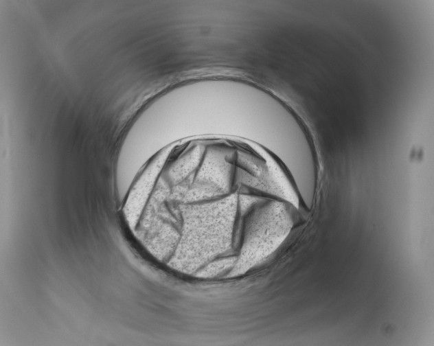 X0000111940013200908241151