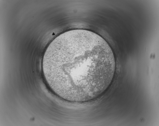 X0000111940014200908241151