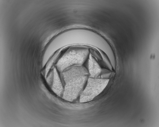 X0000111940015200908241151
