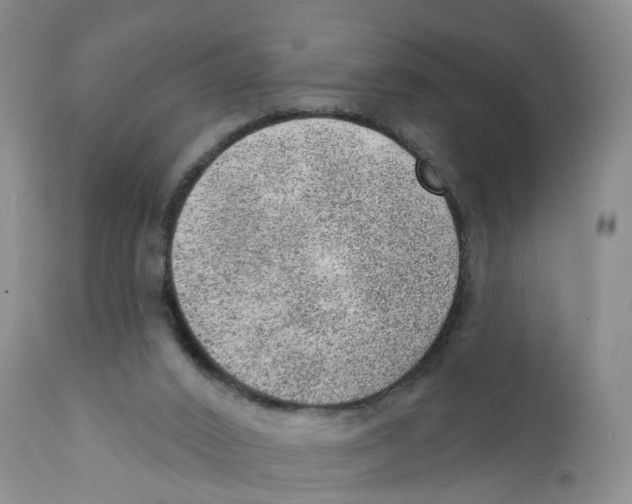 X0000111940016200908241151