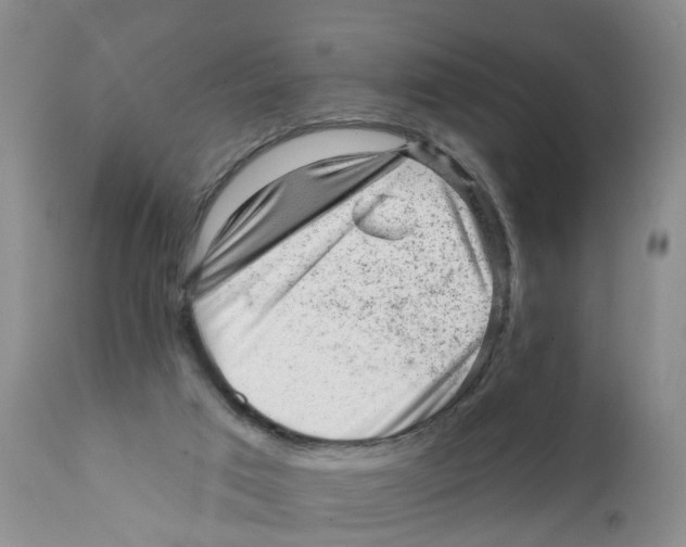 X0000111940017200908241151