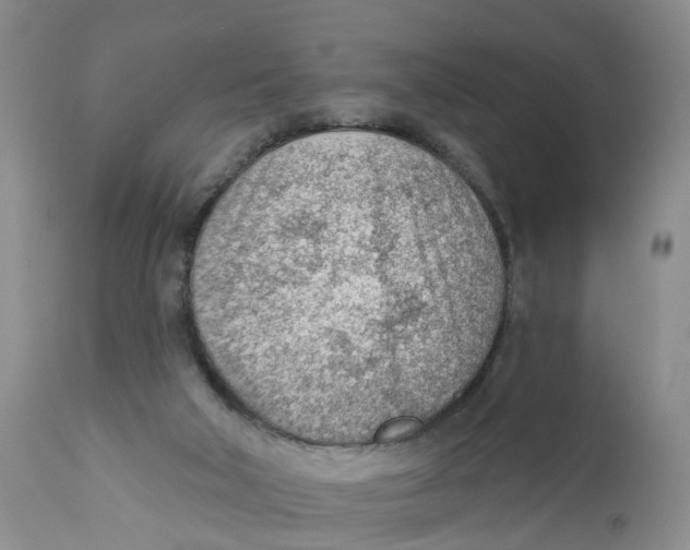 X0000111940018200908241151