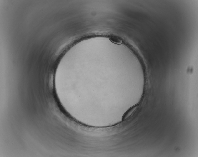 X0000111940019200908241151