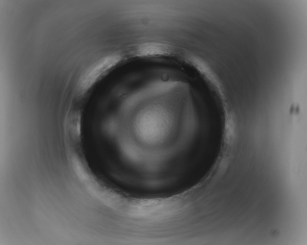 X0000111940021200908241151