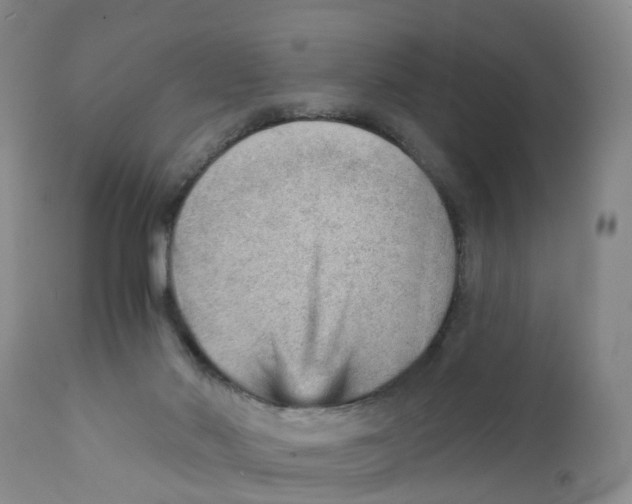 X0000111940022200908241151