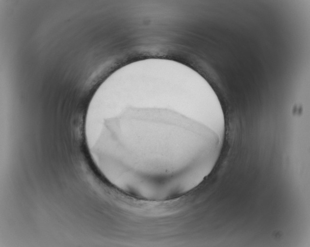 X0000111940023200908241151