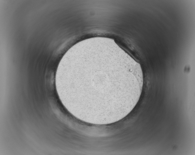 X0000111940024200908241151