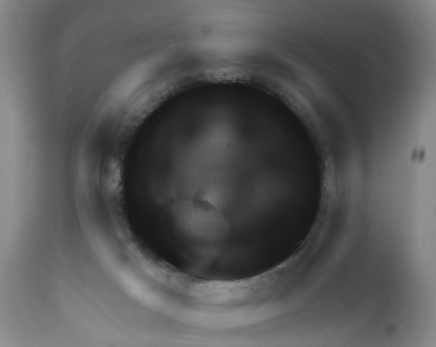 X0000111940025200908241151