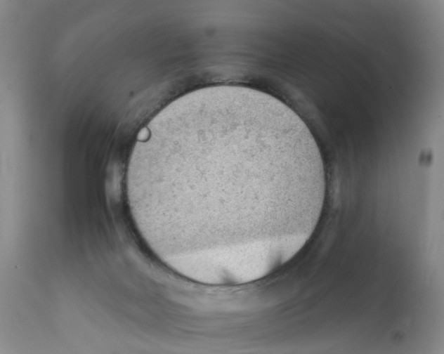 X0000111940026200908241151