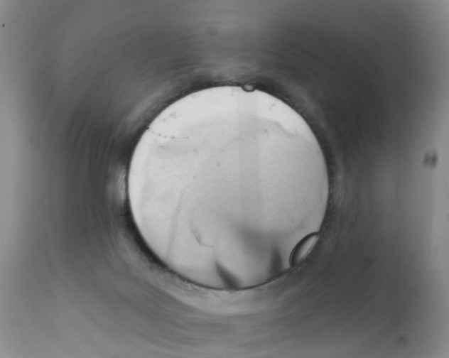 X0000111940027200908241151