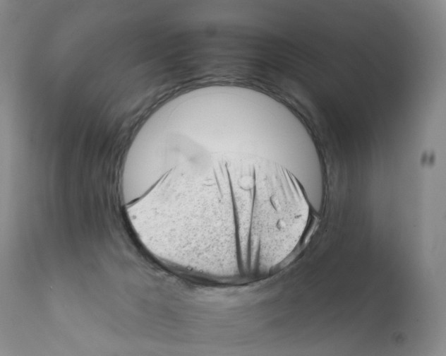 X0000111940029200908241151