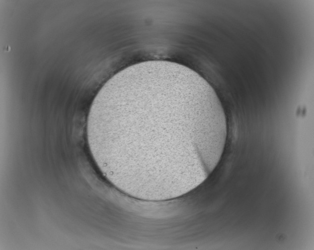X0000111940030200908241151