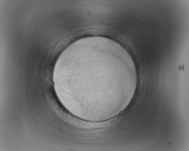X0000111940031200908241151