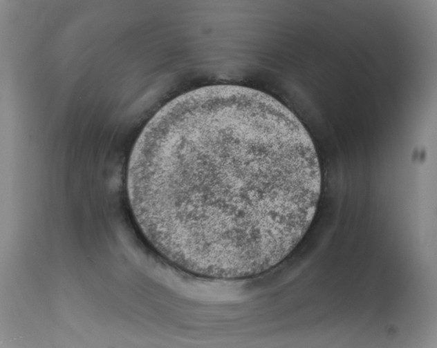 X0000111940032200908241151