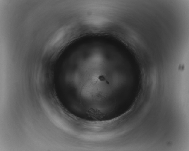 X0000111940033200908241151