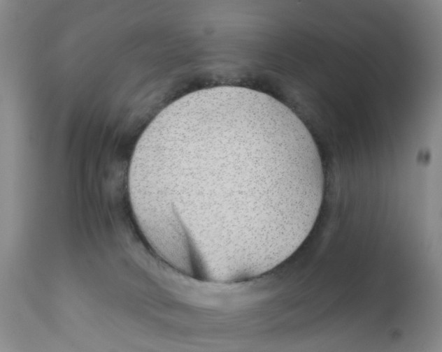 X0000111940034200908241151