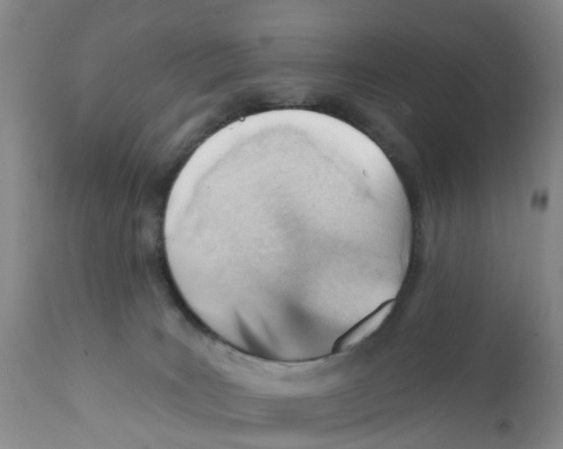 X0000111940035200908241151