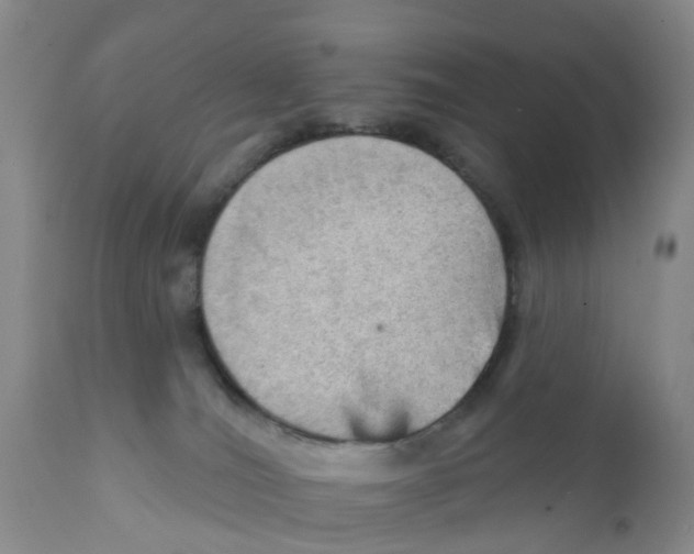 X0000111940036200908241151