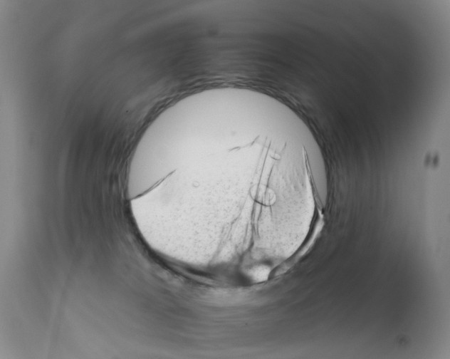 X0000111940037200908241151