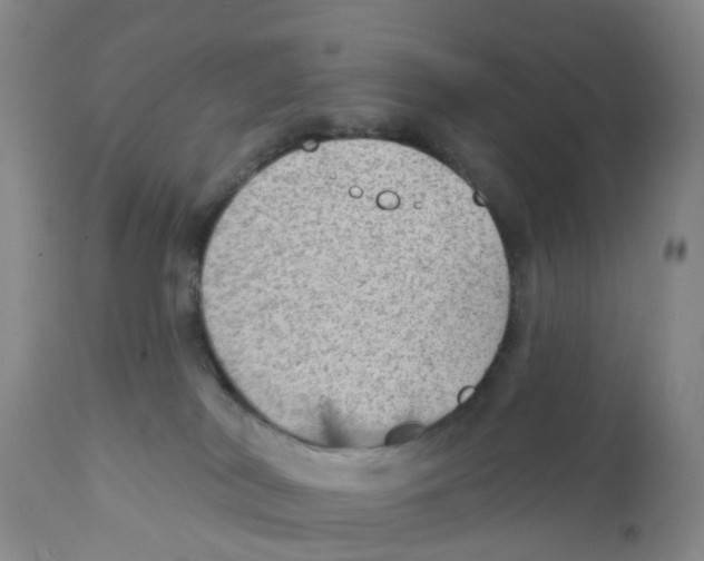 X0000111940038200908241151