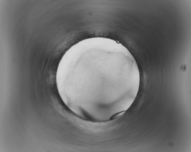 X0000111940039200908241151