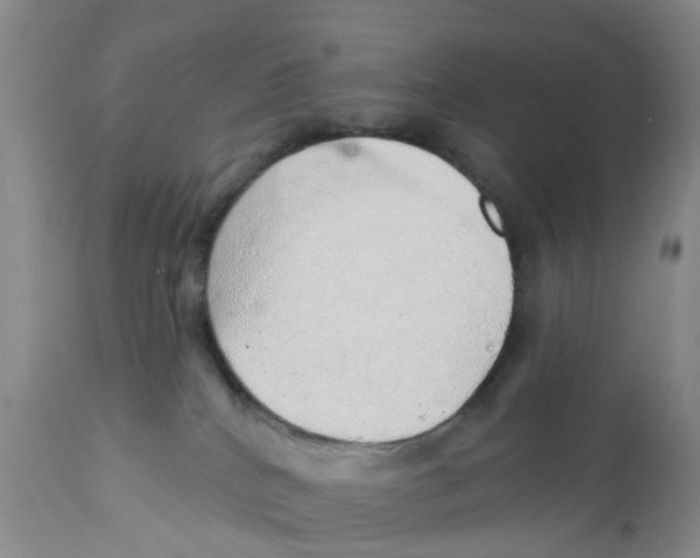X0000111940040200908241151