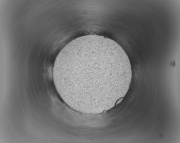 X0000111940042200908241151