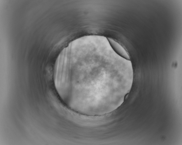 X0000111940043200908241151
