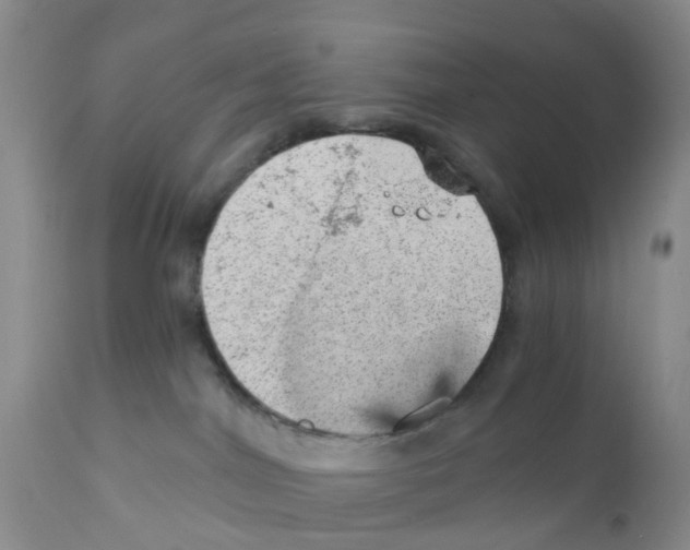 X0000111940044200908241151