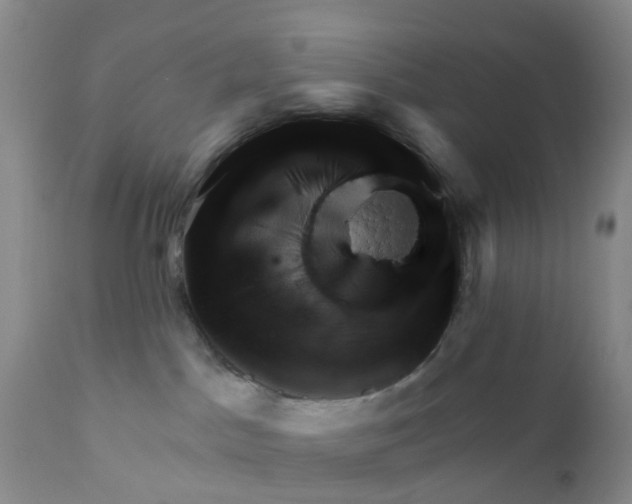 X0000111940045200908241151