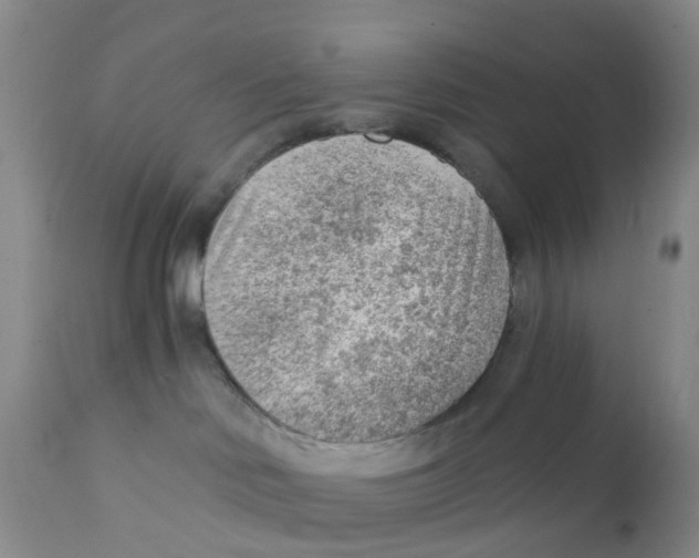 X0000111940046200908241151