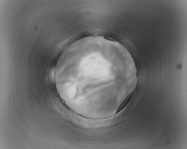 X0000111940047200908241151