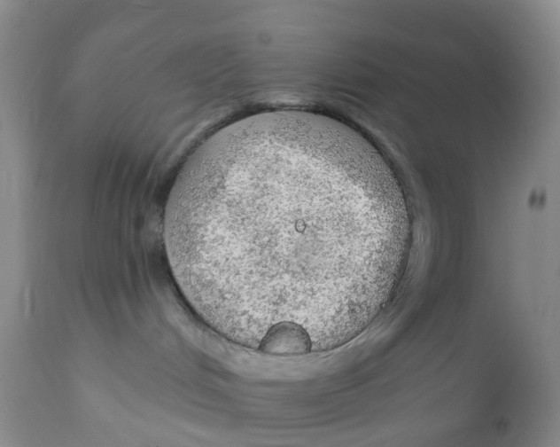 X0000111940048200908241151