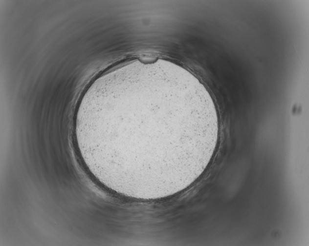 X0000111940049200908241150