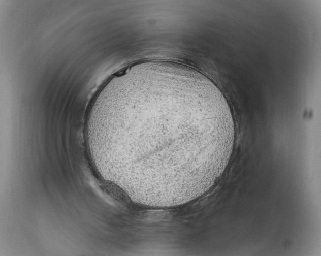 X0000111940050200908241150