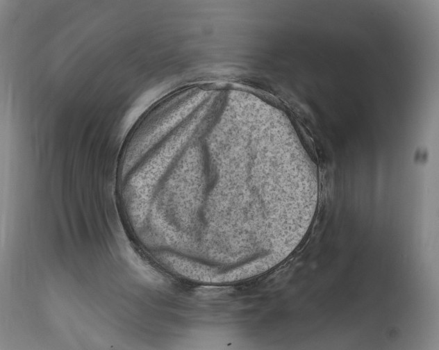 X0000111940051200908241150