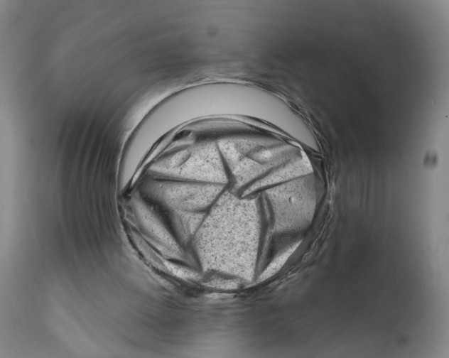 X0000111940052200908241150