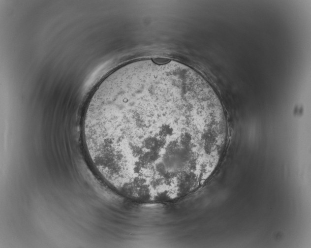 X0000111940053200908241150