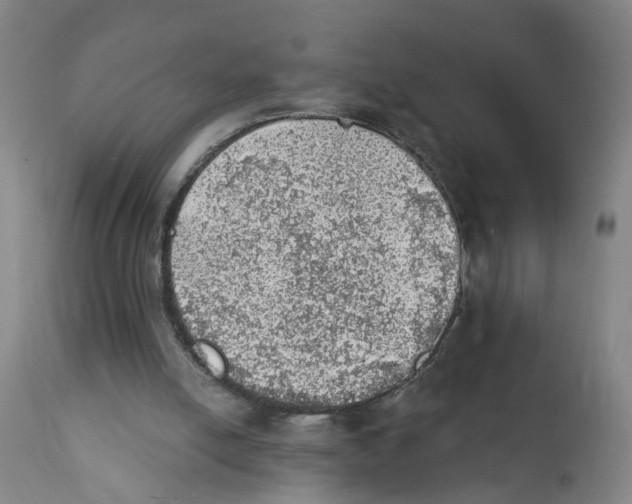 X0000111940054200908241150