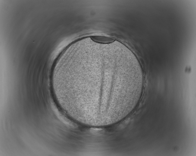 X0000111940055200908241150