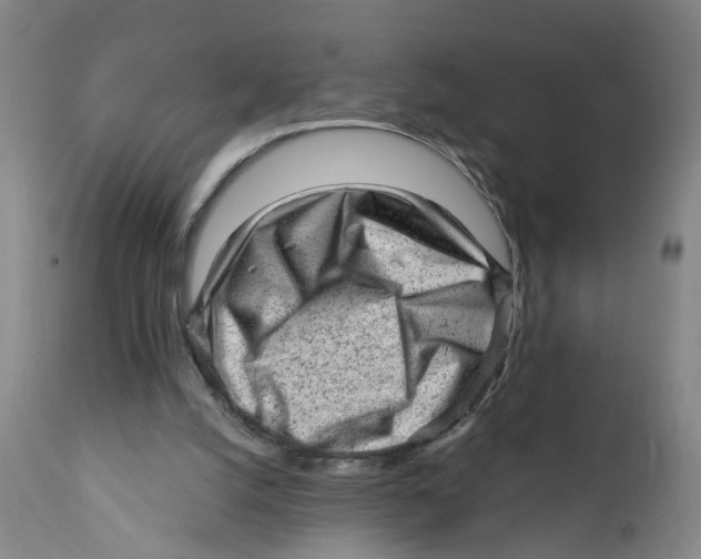 X0000111940056200908241150