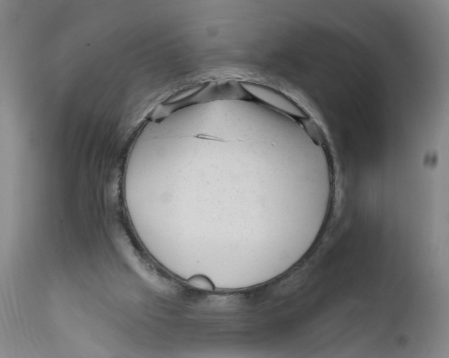 X0000111940057200908241150