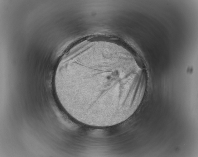 X0000111940058200908241150