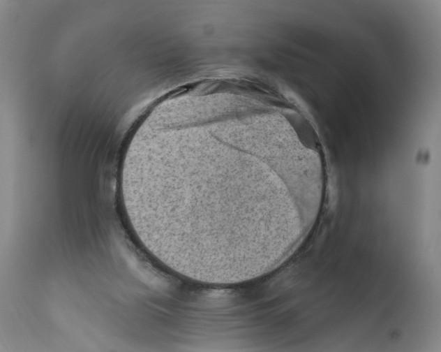 X0000111940059200908241150