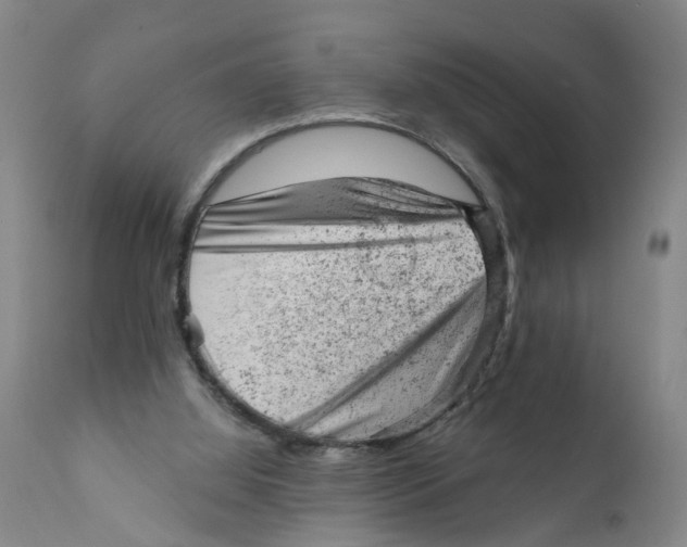 X0000111940060200908241150