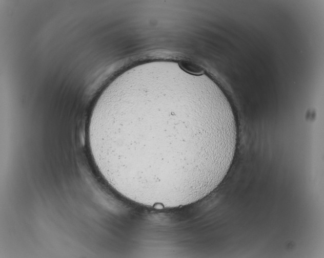 X0000111940062200908241150