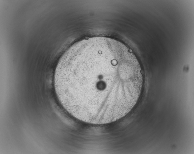 X0000111940065200908241150
