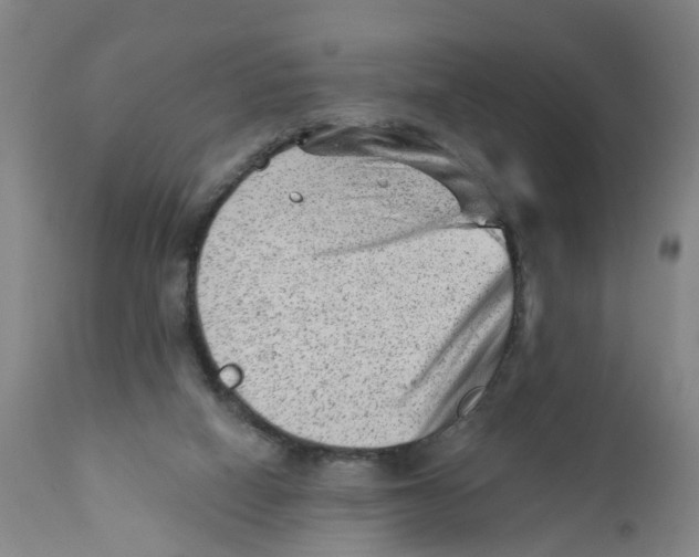 X0000111940066200908241150