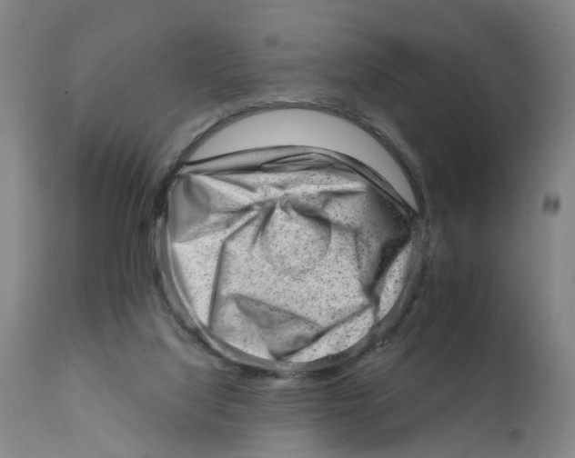 X0000111940068200908241150