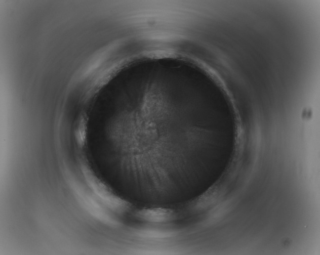 X0000111940069200908241150